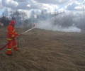 В Зеленограде прошли учения по тушению природных пожаров