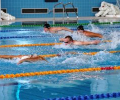Зеленоградские полицейские приняли участие в чемпионате по плаванию