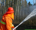 Командно-штабные учения по ликвидации лесных пожаров