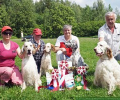 4 и 5 июня в Зеленограде пройдет выставка собак