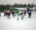 Соревнования по лыжным гонкам в рамках спартакиады «Спорт для всех»